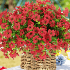 UV Resistant Colorful Artificial Flower