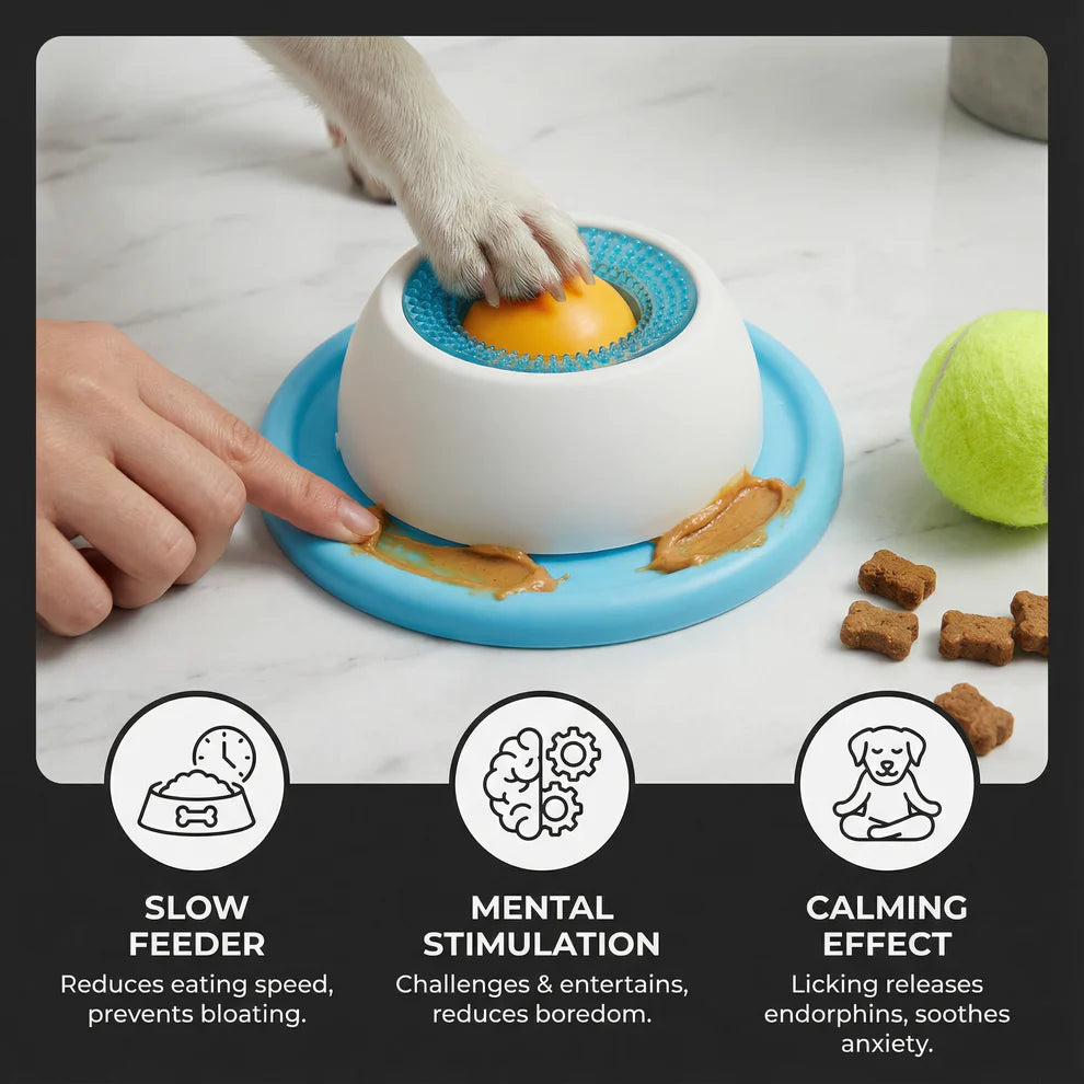 Rolling Ball Slow Feeder: The "No-Spill" Enrichment Toy for Liquid Treats