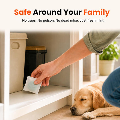 Drive Rats & Mice Out — Without Poison, Traps or Dead Rodents