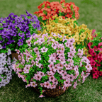 UV Resistant Colorful Artificial Flower