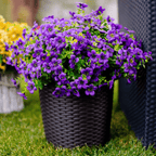 UV Resistant Colorful Artificial Flower