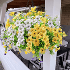 UV Resistant Colorful Artificial Flower