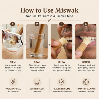 🌿 Miswak — Nature’s Original 7,000-Year-Old Toothbrush