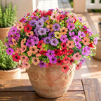 UV Resistant Colorful Artificial Flower