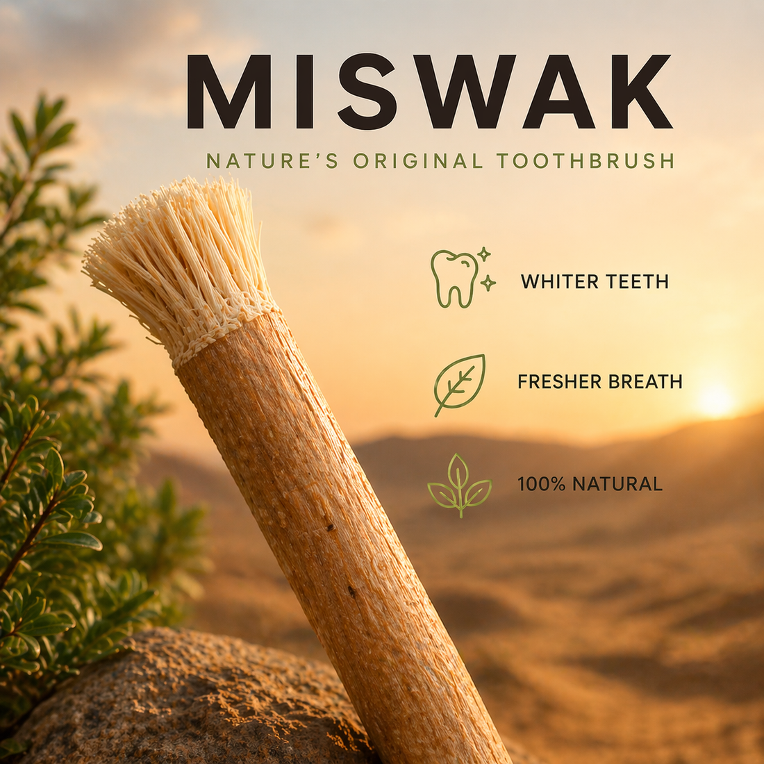Miswak Toothbrush